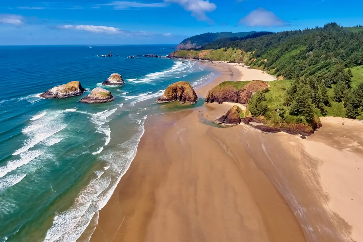 A picturesque stretch of sandy beach with distinctive rock formations and gentle ocean waves rolling in. The green hills in the distance provide a scenic coastal backdrop, making the setting ideal for exploring tide pools, beachcombing, and spotting wildlife.
